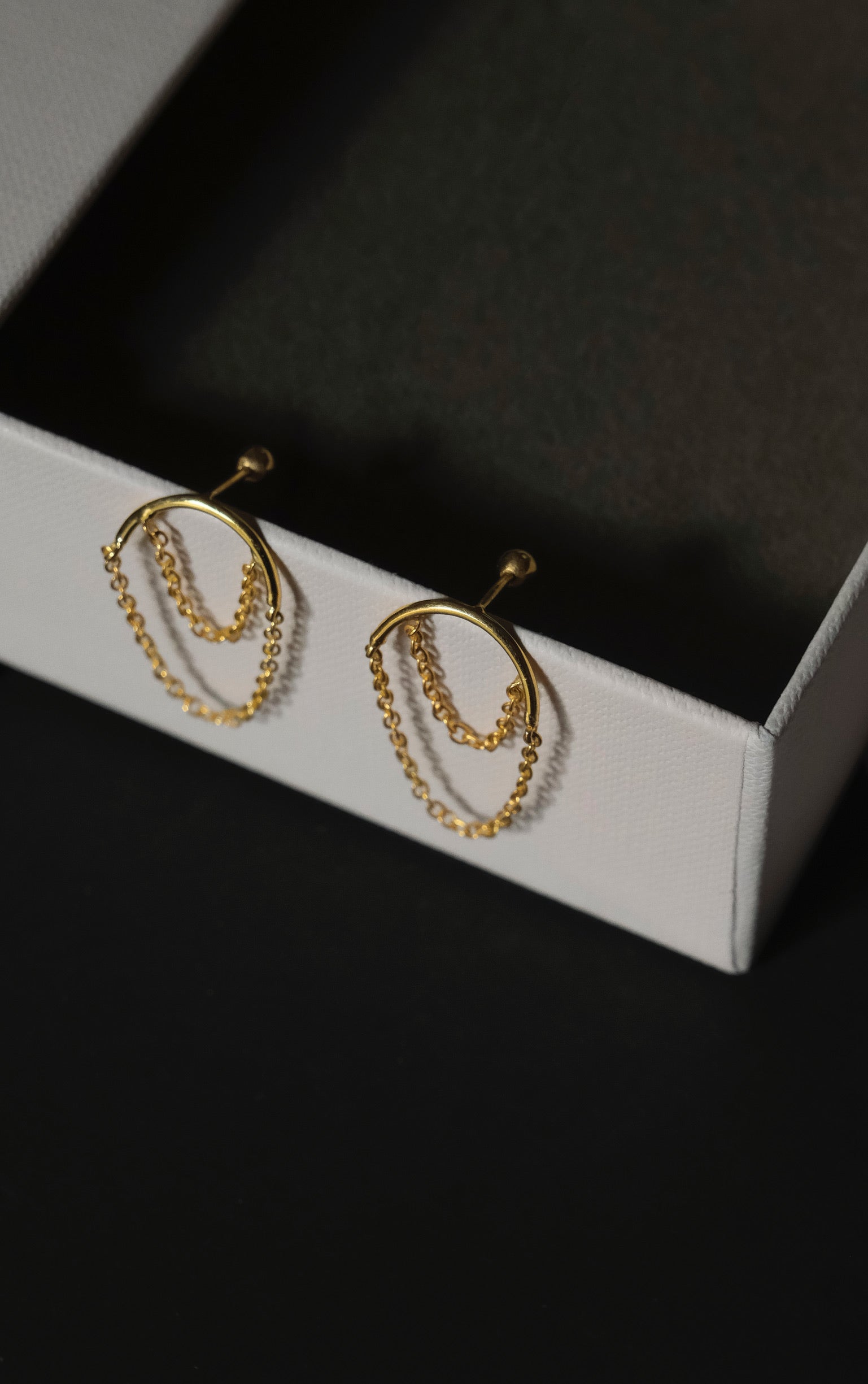 Curved Chain Earrings