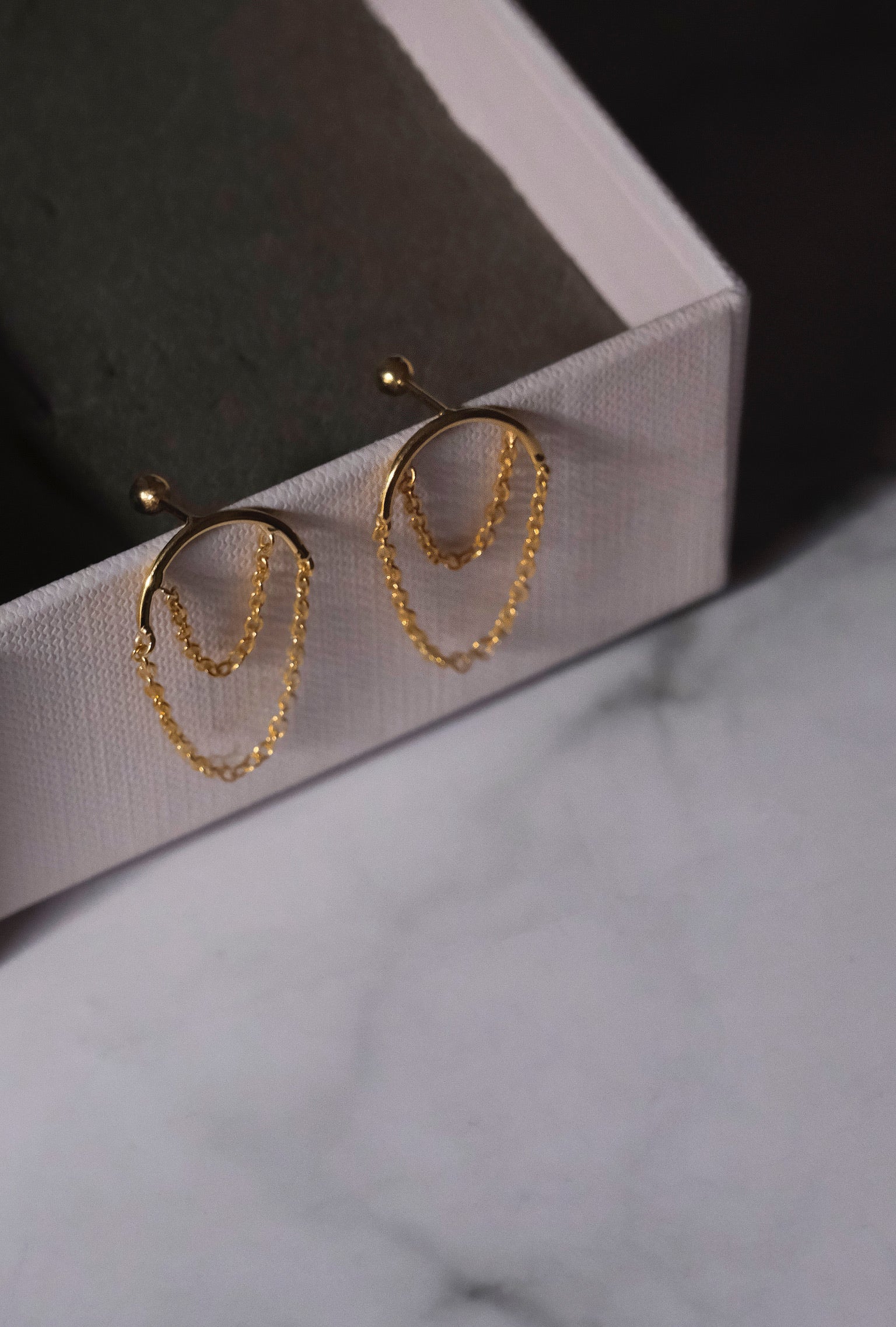 Curved Chain Earrings