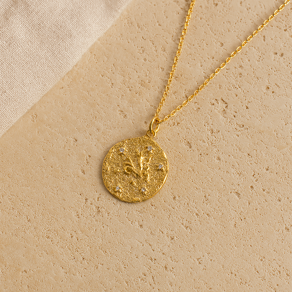 Capricorn Zodiac Necklace-Necklaces-Anushka Jain Jewellery