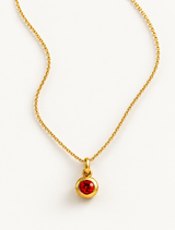 January Birthstone Necklace