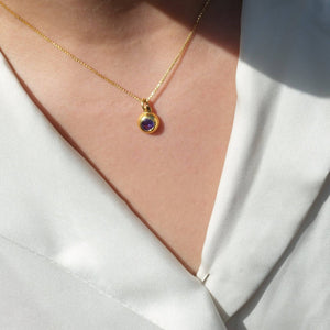 February Birthstone Necklace