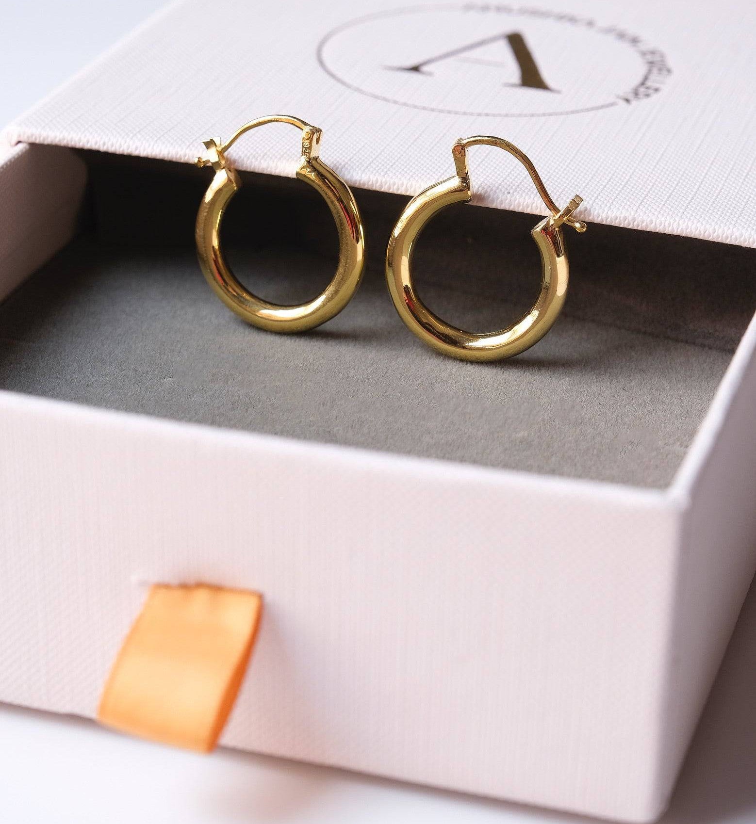 Paloma Hoops