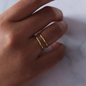 Dual Curve Ring