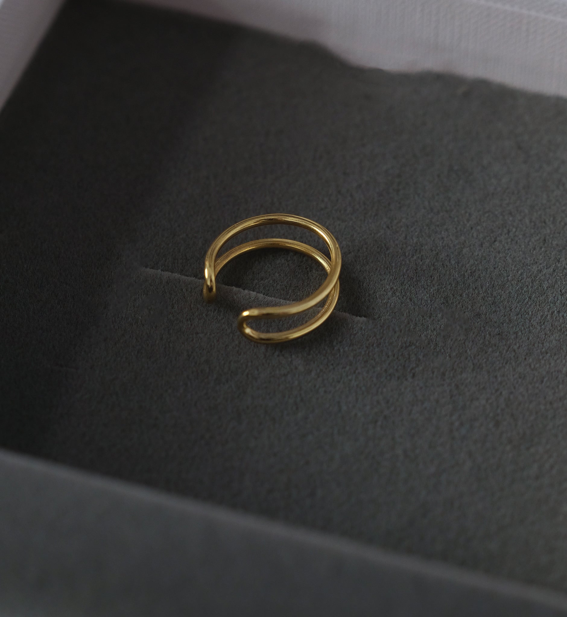 Dual Curve Ring