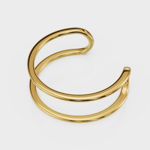 Dual Curve Ring