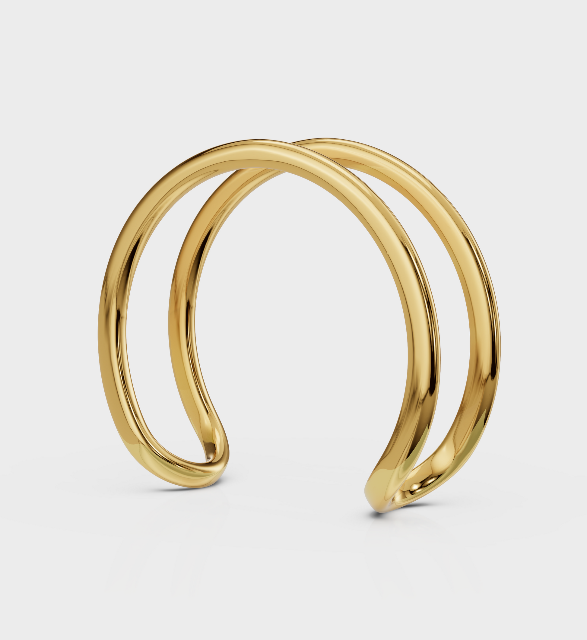 Dual Curve Ring