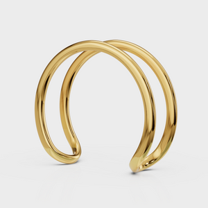 Dual Curve Ring