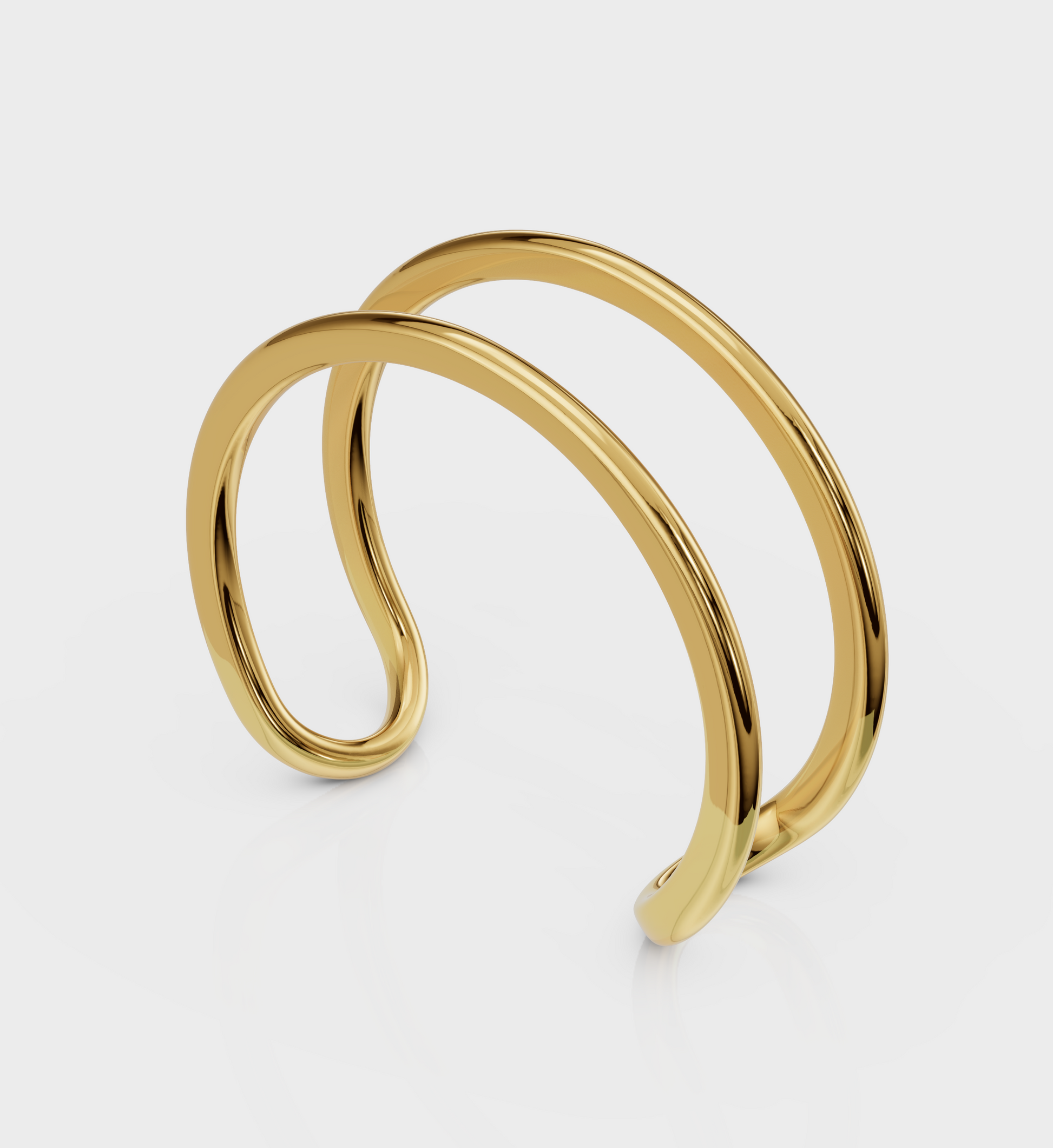 Dual Curve Ring