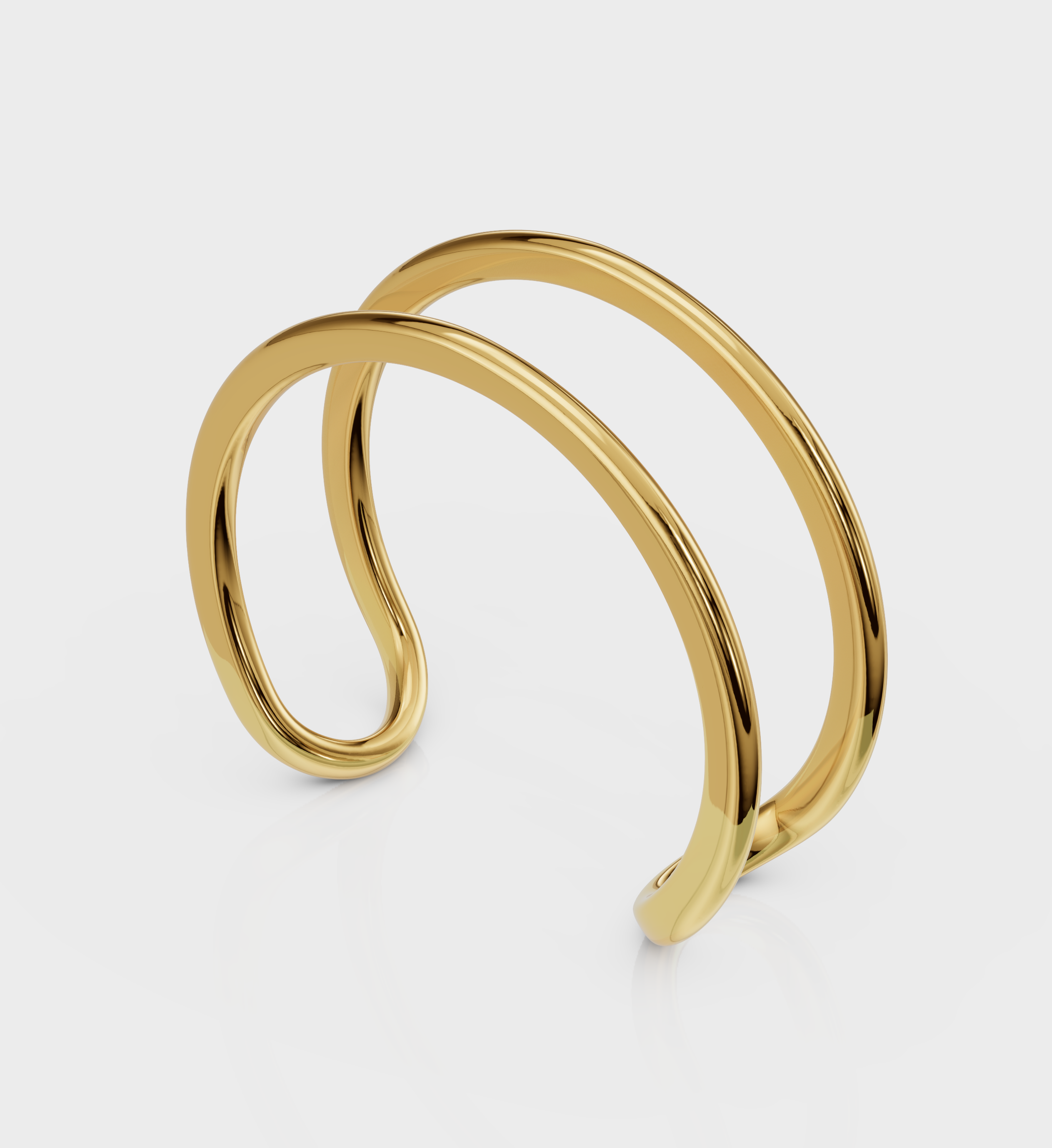 Dual Curve Ring