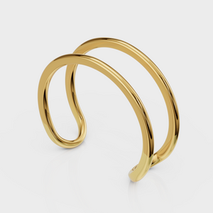 Dual Curve Ring