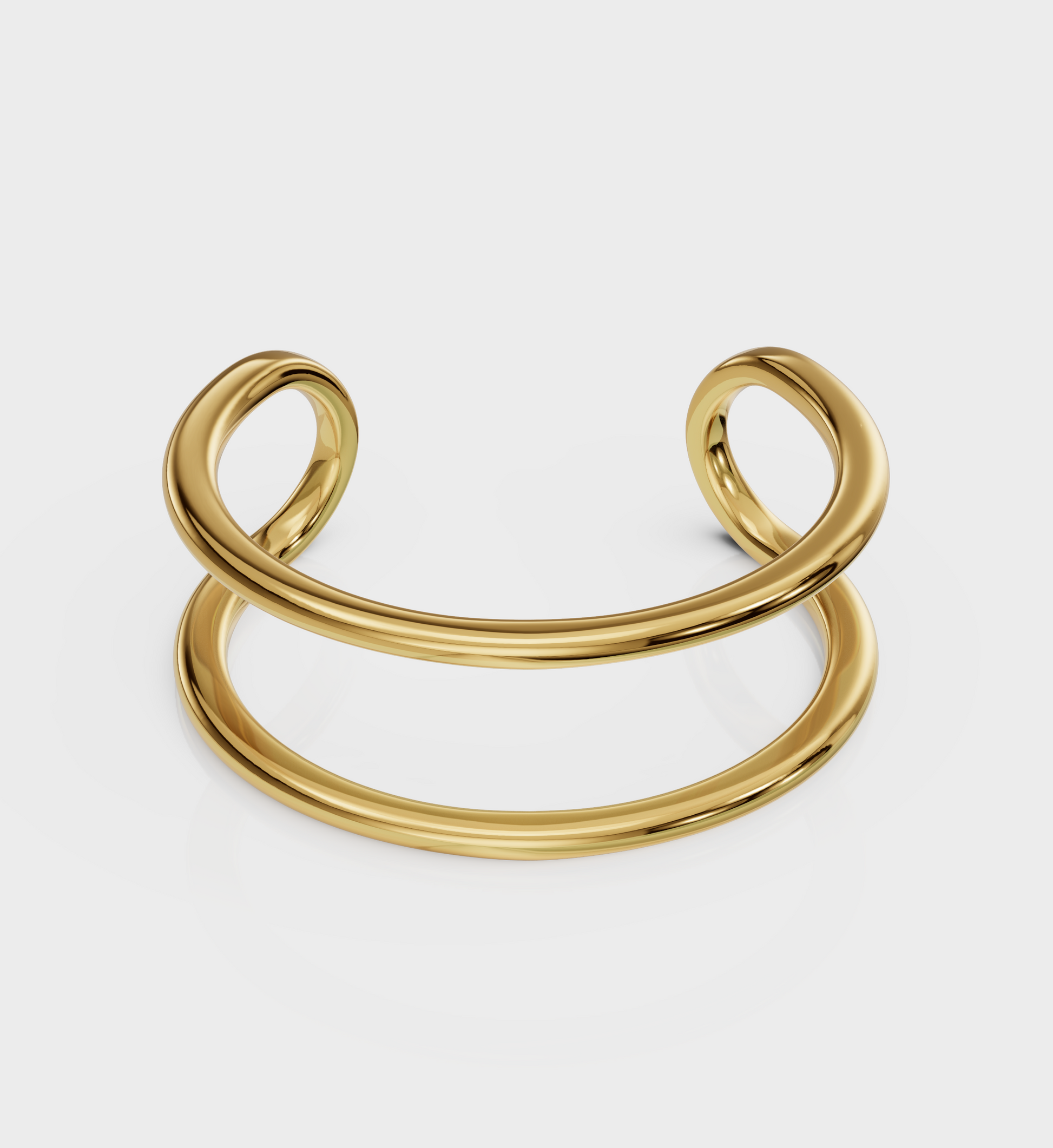 Dual Curve Ring