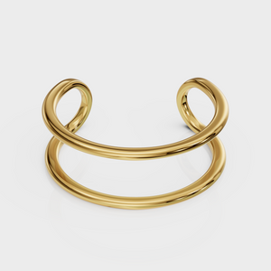 Dual Curve Ring