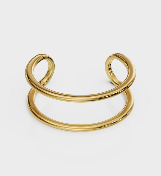 Dual Curve Ring