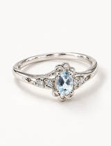 Celeste Oval Halo Ring