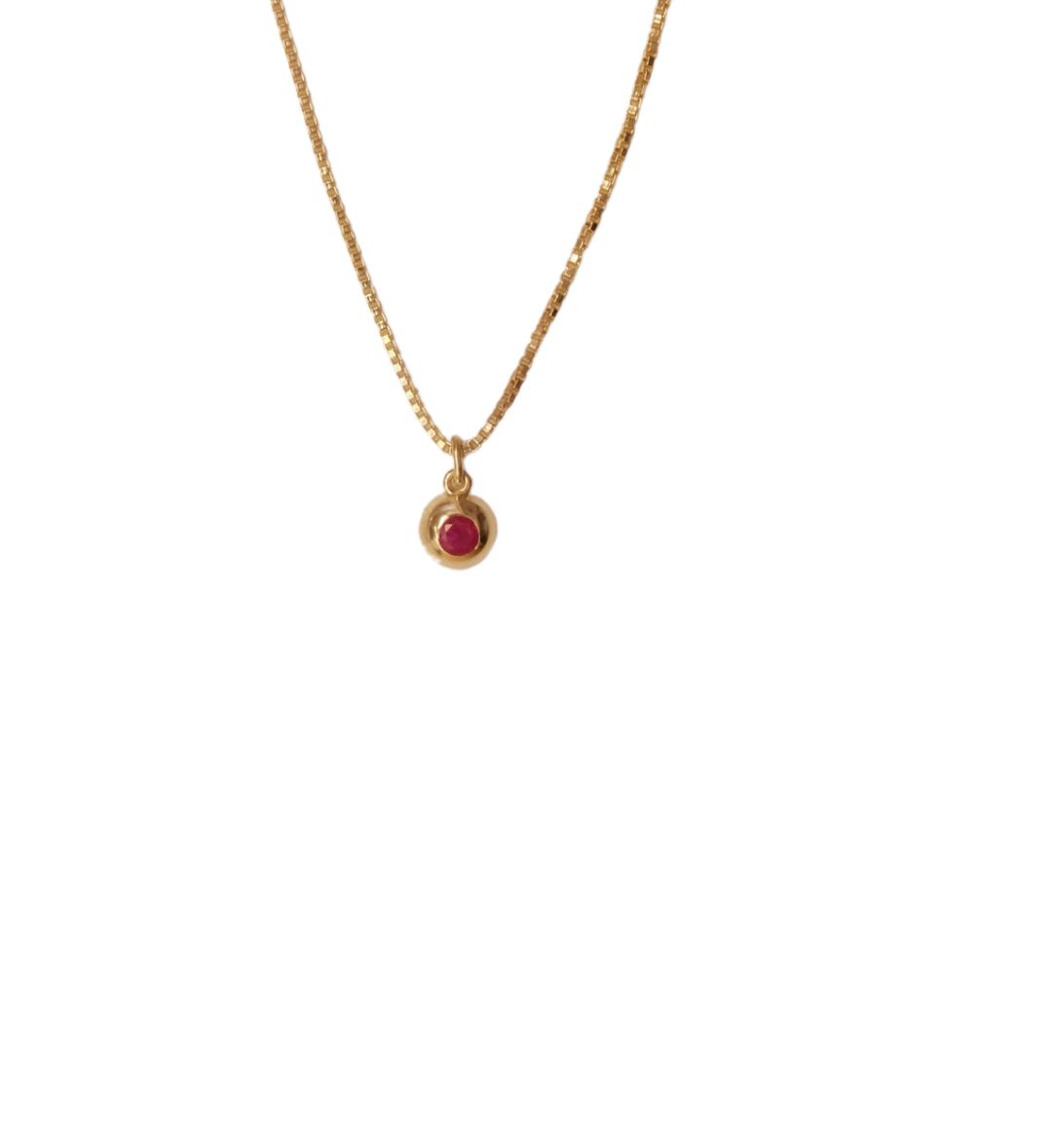 January Birthstone Necklace