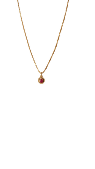 January Birthstone Necklace