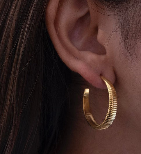 Big Lined Hoops