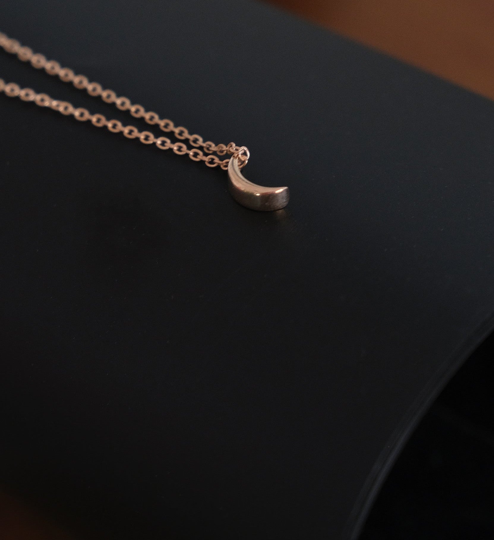 Crescent Moon Necklace