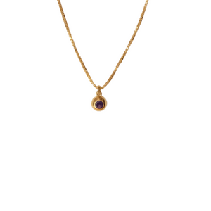 February Birthstone Necklace