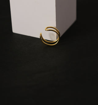 Dual Curve Ring