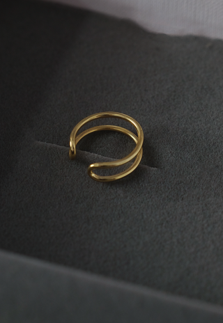Dual Curve Ring
