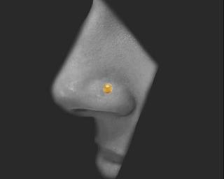 Dot Ball Nose Pin